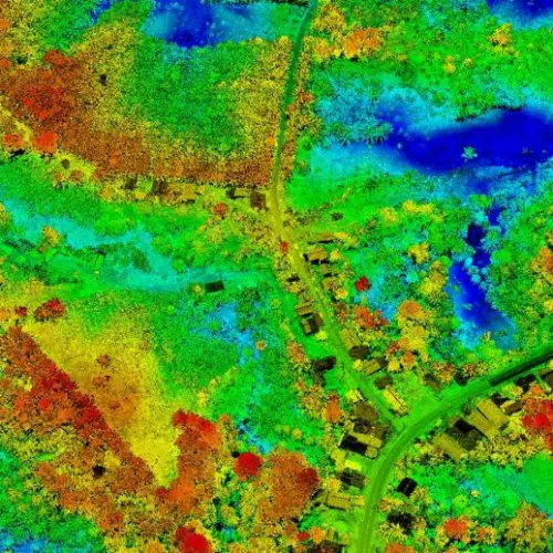 Point cloud lidar kalimantan palm tree VX15 yellowscan