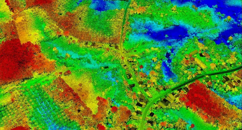 Point cloud lidar kalimantan palm tree VX15 yellowscan