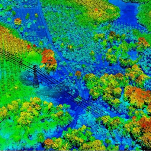 Point cloud lidar kalimantan palm tree VX15 yellowscan