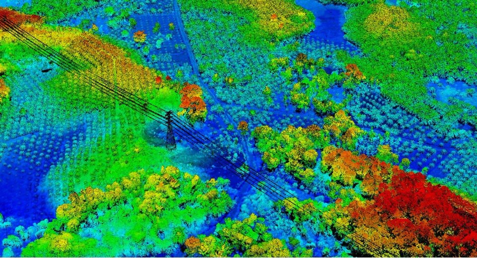 Point cloud lidar kalimantan palm tree VX15 yellowscan